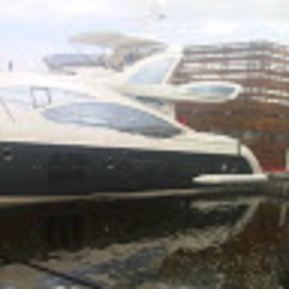 Meet your Posher, Julius